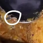 Viral Video Siswa SMAN 3 Pamekasan Temukan Belatung di Menu Makan Bergizi Gratis, Netizen Pertanyakan Kelayakan Program MBG.